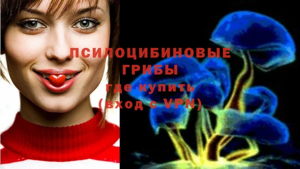 ПСИЛОЦИБИНОВЫЕ ГРИБЫ Дмитриев