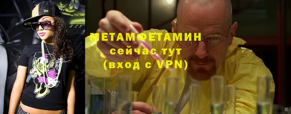 ПСИЛОЦИБИНОВЫЕ ГРИБЫ Дмитриев