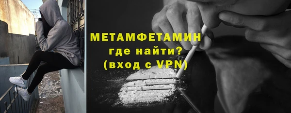 ПСИЛОЦИБИНОВЫЕ ГРИБЫ Дмитриев
