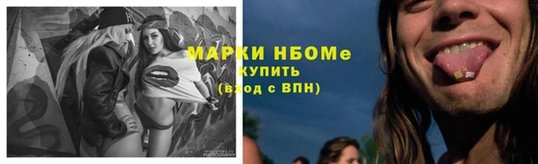 ПСИЛОЦИБИНОВЫЕ ГРИБЫ Дмитриев