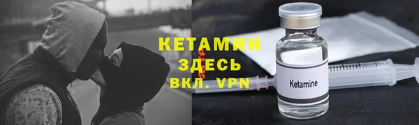 ПСИЛОЦИБИНОВЫЕ ГРИБЫ Дмитриев