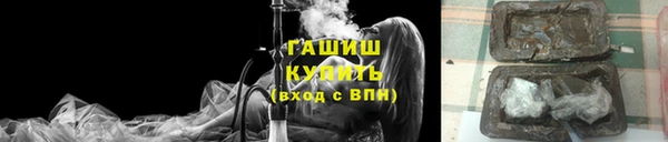 ПСИЛОЦИБИНОВЫЕ ГРИБЫ Дмитриев