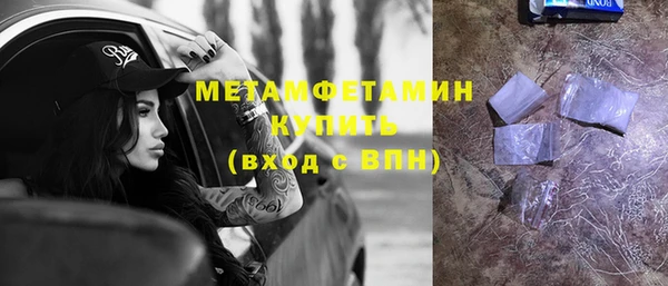 ПСИЛОЦИБИНОВЫЕ ГРИБЫ Дмитриев