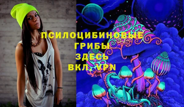 ПСИЛОЦИБИНОВЫЕ ГРИБЫ Дмитриев