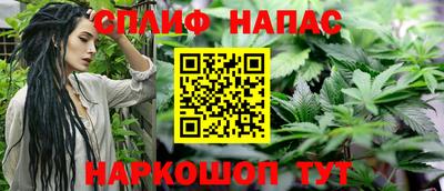 spice Камышлов
