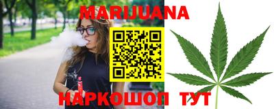 spice Камышлов