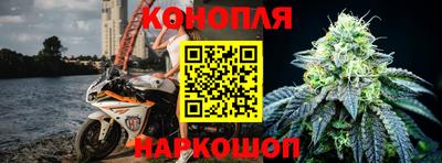 spice Камышлов