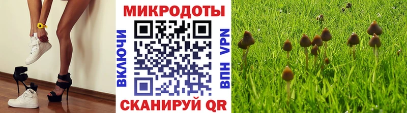 Псилоцибиновые грибы мицелий  Коломна 