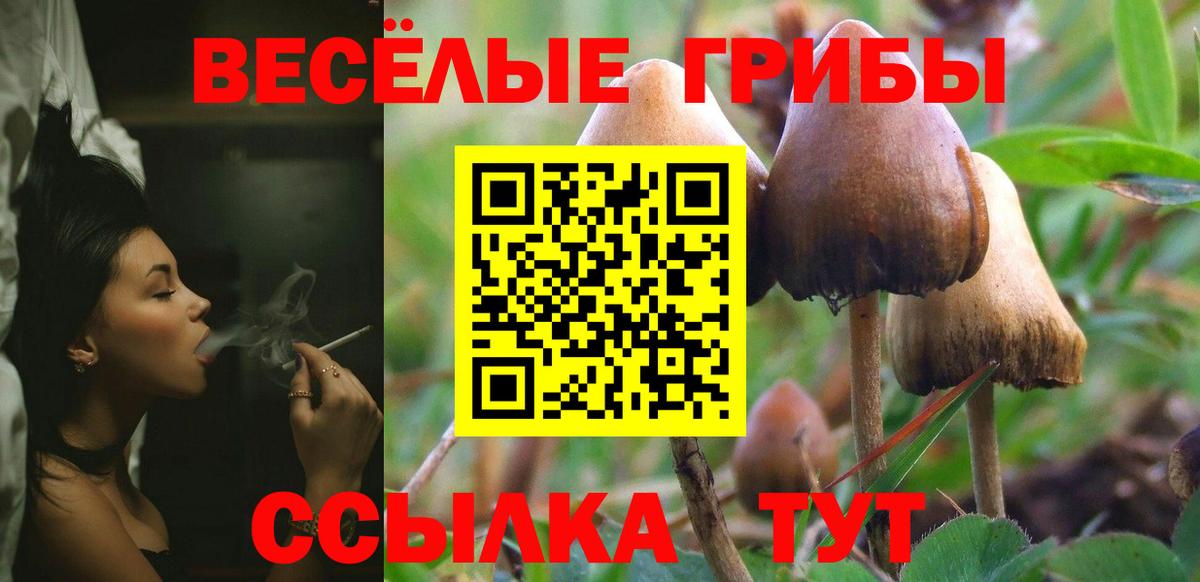 Псилоцибиновые грибы GOLDEN TEACHER Коломна